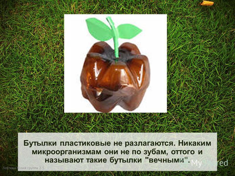 Пластиковая бутылка разложится. Разложение пластиковых бутылок. Пластиковые бутылки для презентации. Разложение пластиковой бутылки. Сминайте пластиковые бутылки.